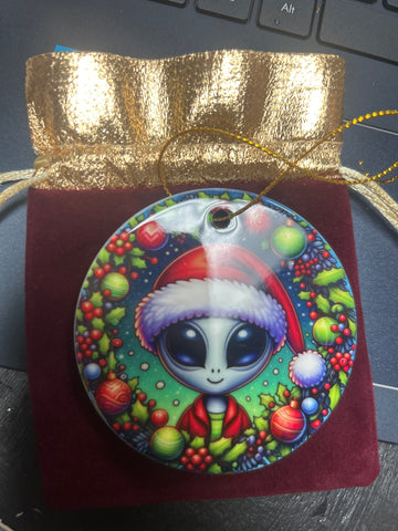 Winter Alien ornament