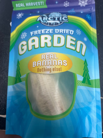 Freeze Dried Bananas