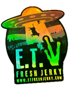 MEDIUM HOLOGRAPHIC UFO STICKER